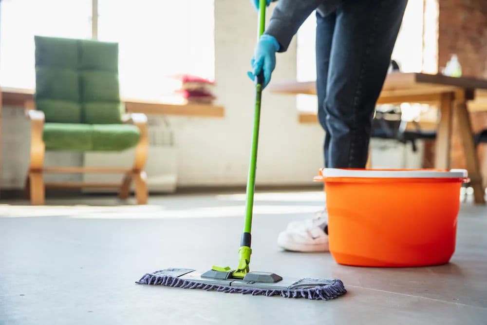 Residential and Commercial Cleaning Services